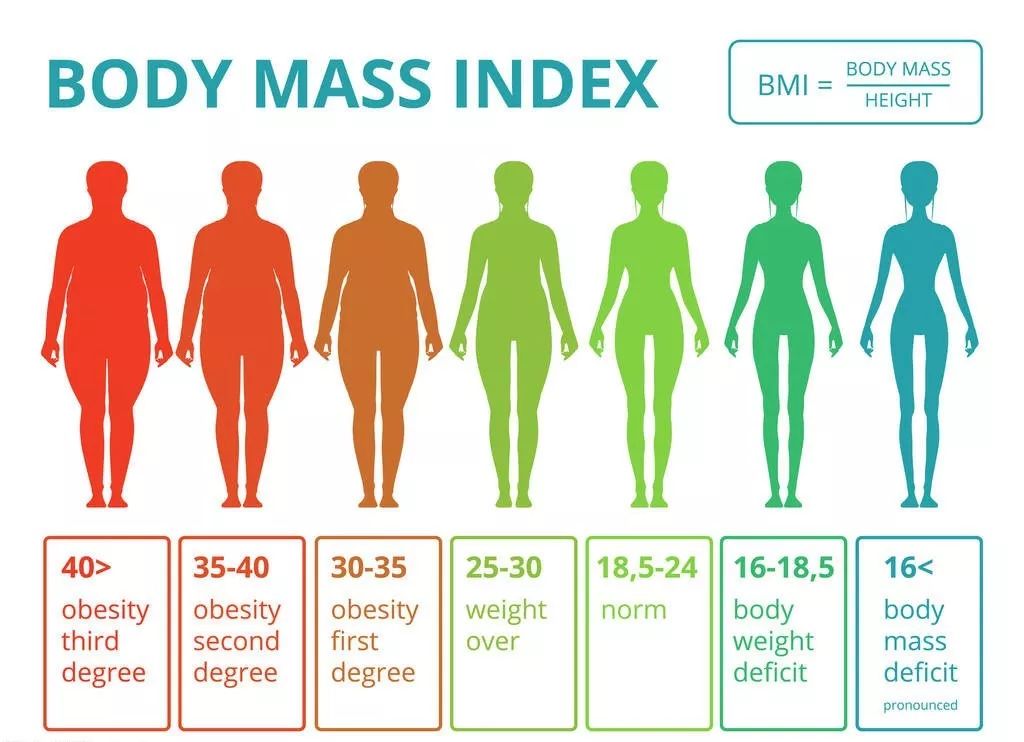 欧美微胖型超模140斤维密,维密模特体重165