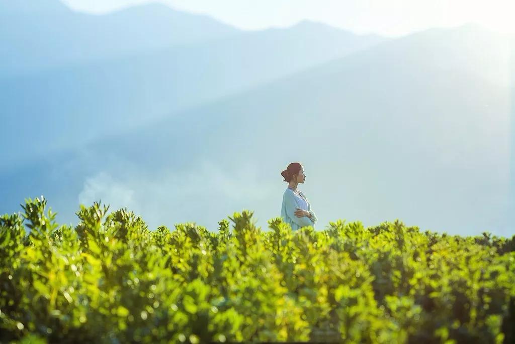 和三观正城府深的交往的体验感,和城府很深的人交往