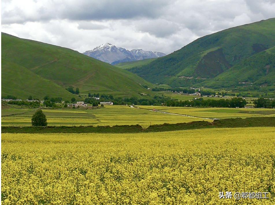 总结援藏帮扶工作经验,援藏干部帮扶情况报告