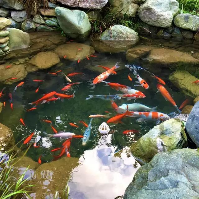 黄山小众美景,冬游黄山邂逅人间仙境