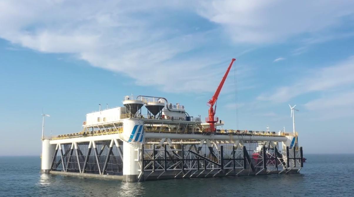 一次养鱼1000吨，中国在渤海建“亚洲最大鱼塘”，首次收网大丰收