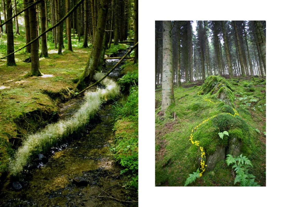 北京京郊女孩抱团养老村,北京山里抱团养老