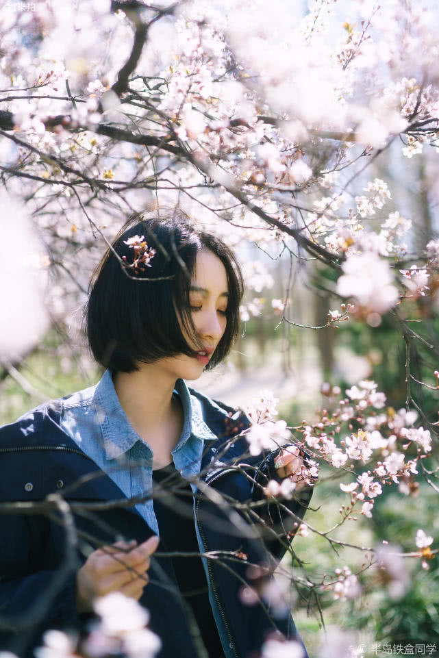 港风美人的在樱花树下的邂逅,感受春天情绪的蔓延