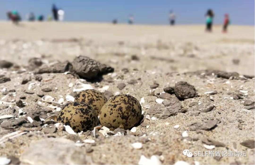 科学家如何观察植物,鸟类的研究方法