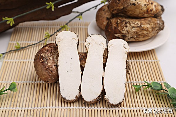 松茸什么牌子好吃,松茸什么品牌的比较好