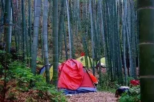 昆明周边适合露营的森林,昆明附近露营风景好