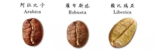 品尝世界各地咖啡的绝佳去处,便宜又正宗好喝的咖啡