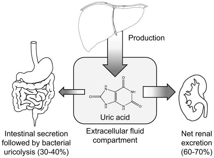 碱性苏打水可以降低尿酸吗,喝苏打水能降低尿酸吗