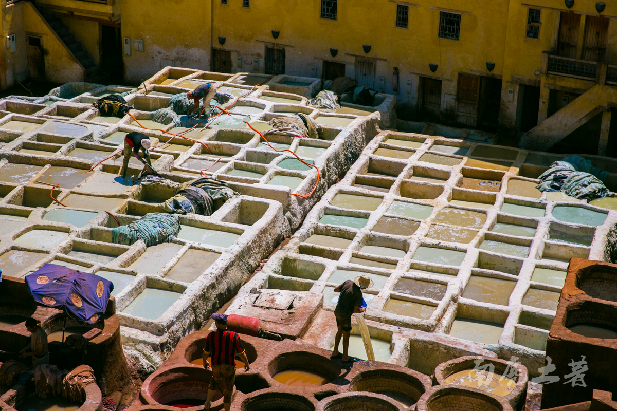 非洲这个城市这么臭,游人却每天排队参观