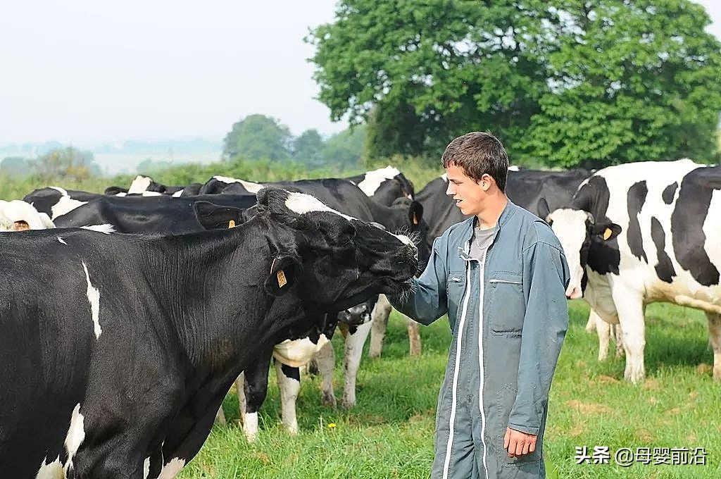 张亮：圣元蓄势，不争一时之快（一）