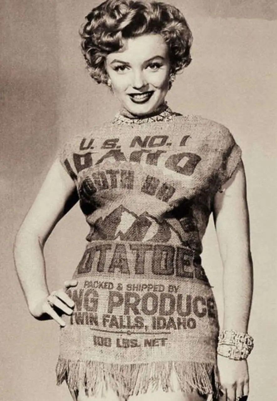 美国土豆都有什么做法,美国土豆