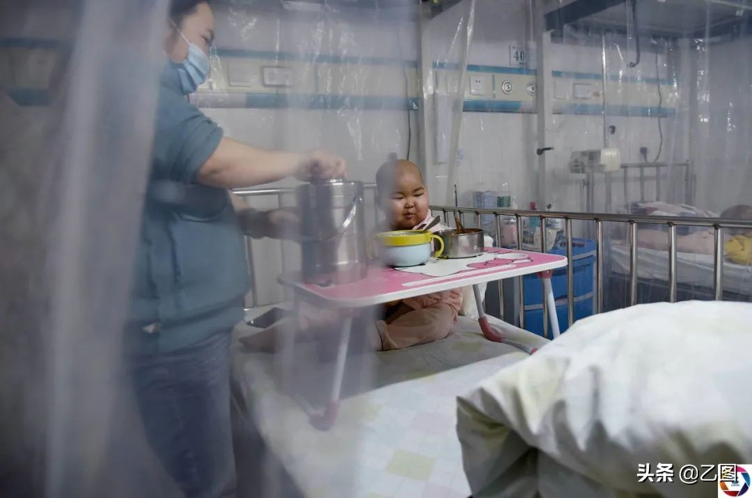 小孩被器官移植,5岁女孩移植