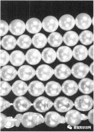 影响珍珠品质和价值的6大因素,你知道吗?