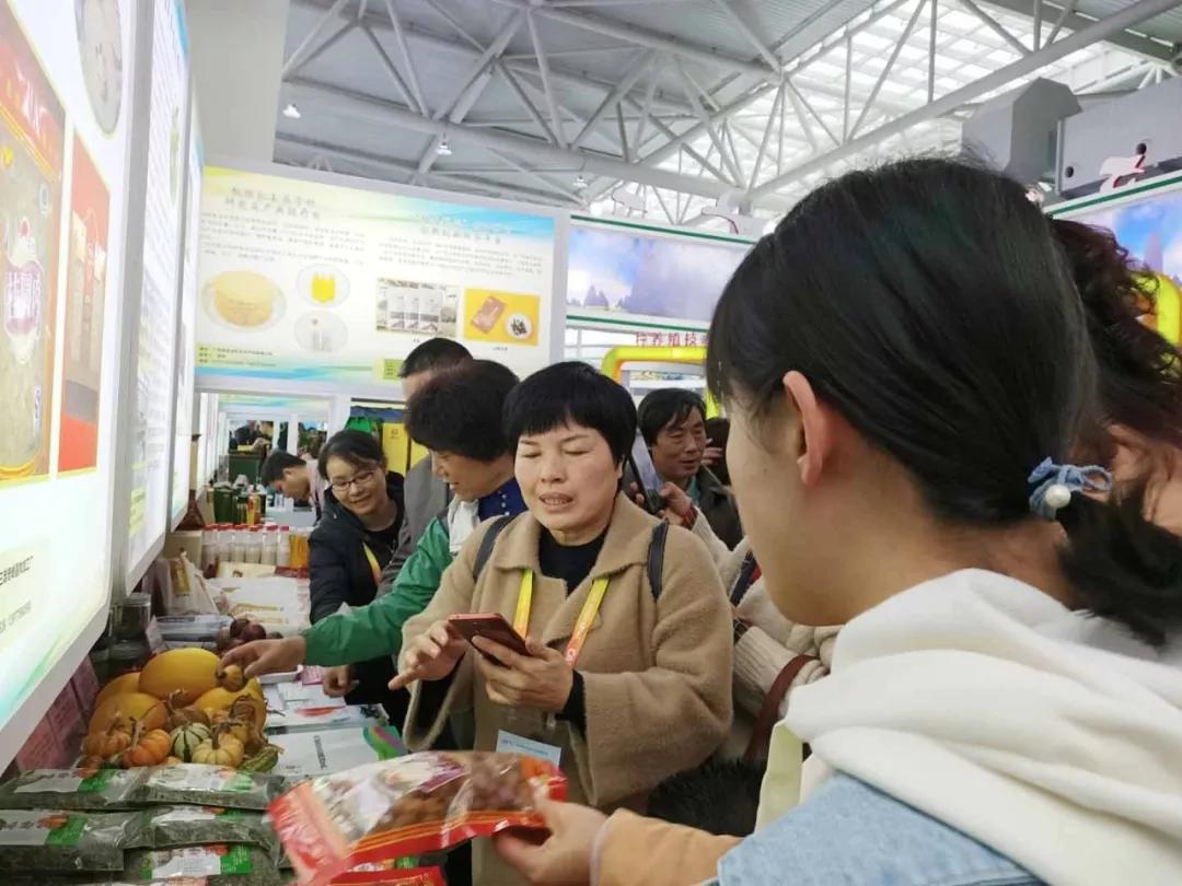 中农富玉大事记,中农富玉未来发展趋势