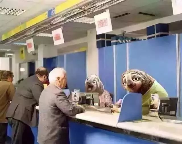 意大利学生居留如何转工作居留,意大利留学居留卡有什么用