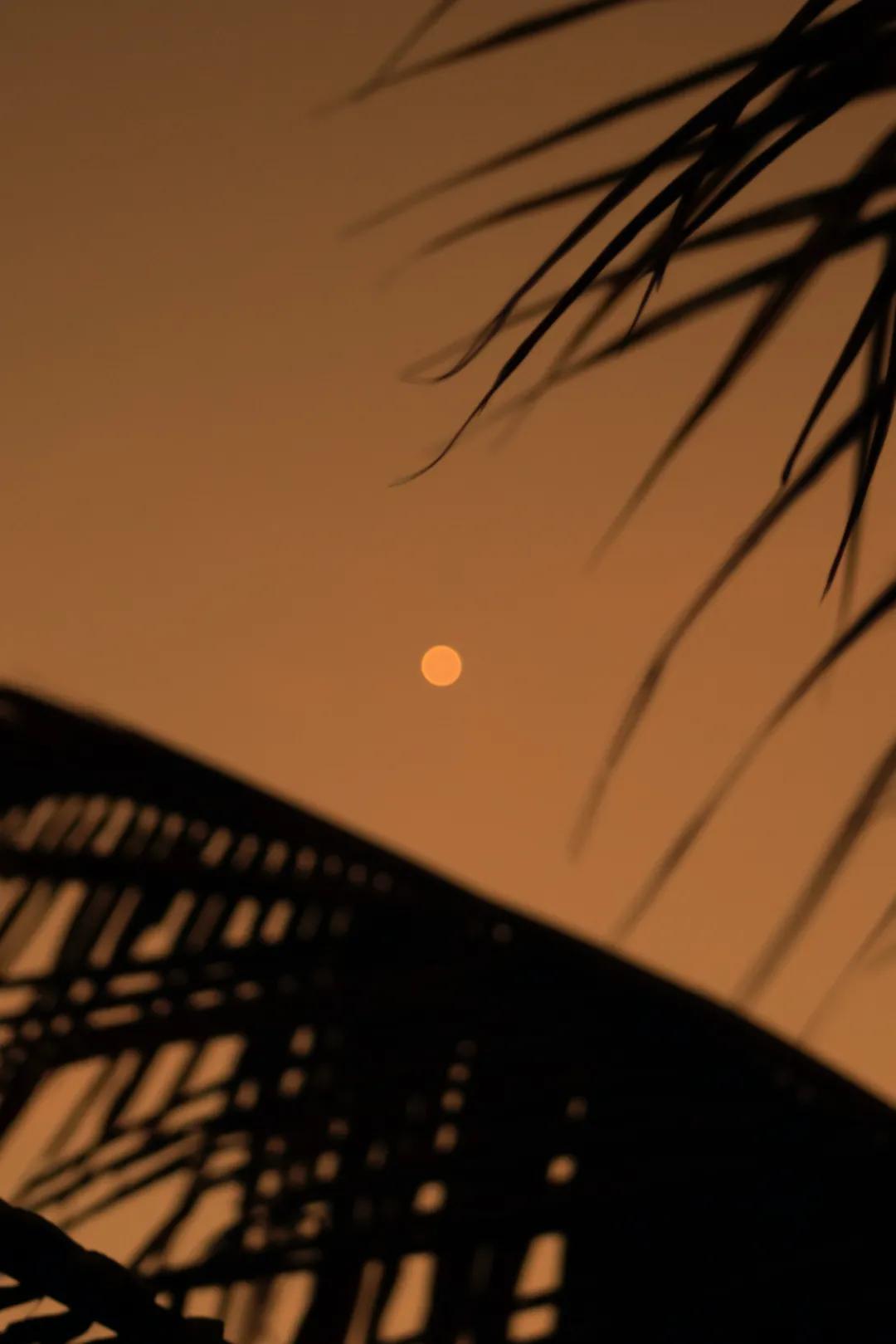 适合秋天的书单,秋天的风景书单