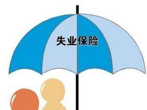 失业了为什么还在缴纳失业保险金,为什么不建议领取失业保险