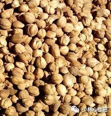 中药药材大全及功效,补肾中药大全及功效