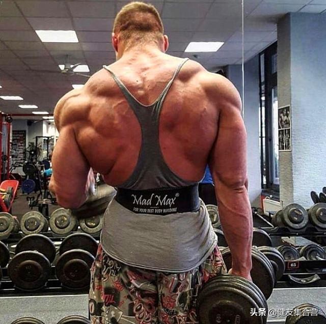 1对哑铃练全身只练力量,1对哑铃6个动作每天1次适合上班族