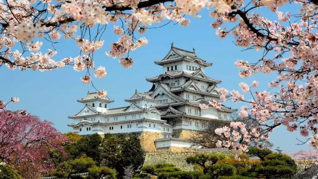 盘点那些年我看过的日本美景,日本美景8k超高清