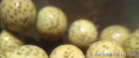 盘玩星月的乐趣,盘珠子上瘾