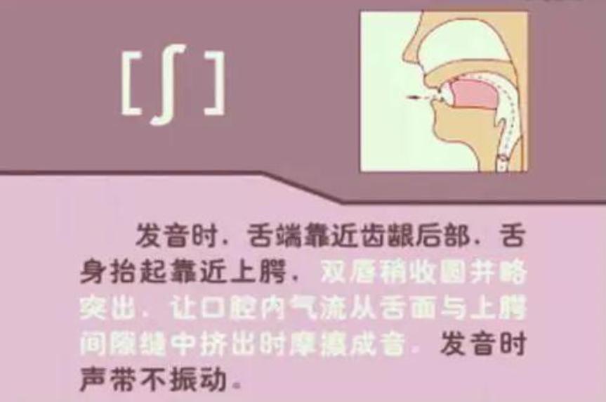 教你如何学英语音标,英语音标新手入门教程