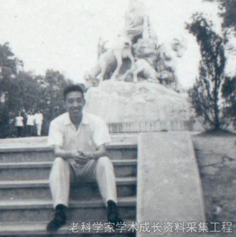 从中医小白到临床高手,从西医转而学习中医体会