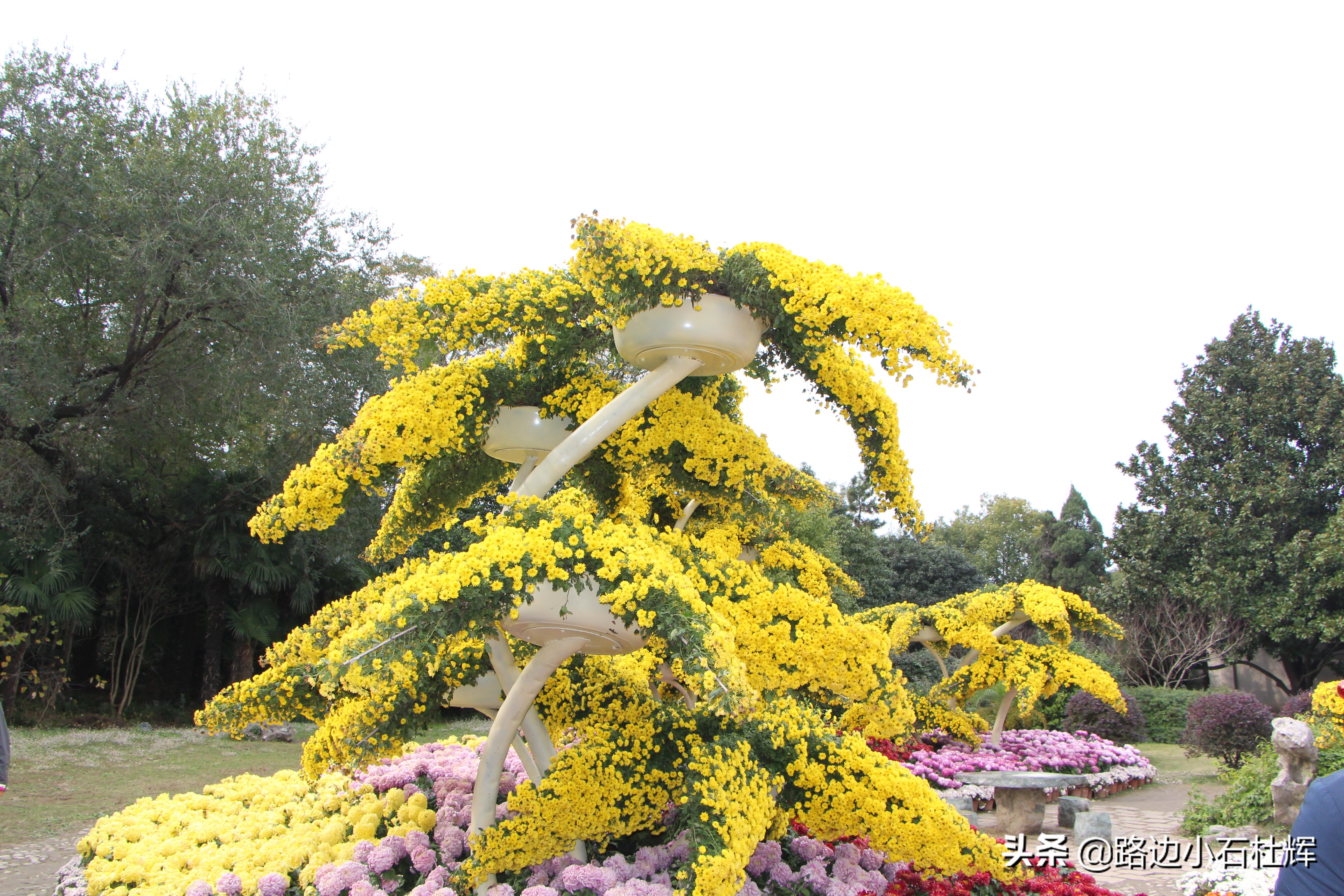 扬州瘦西湖之行,扬州瘦西湖游一圈