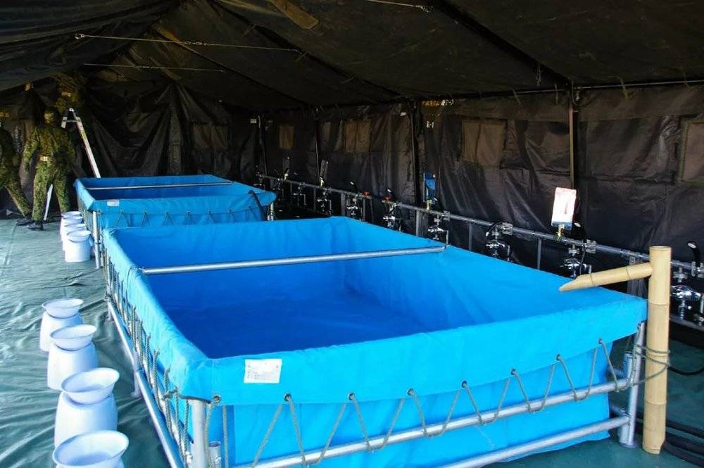 变身少女日本动漫,变身动漫女生日本