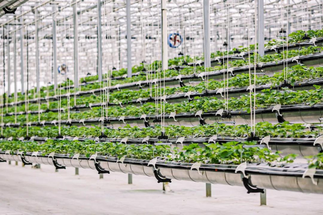 在大山深处幽静绝美的村落,深藏大山中的村落