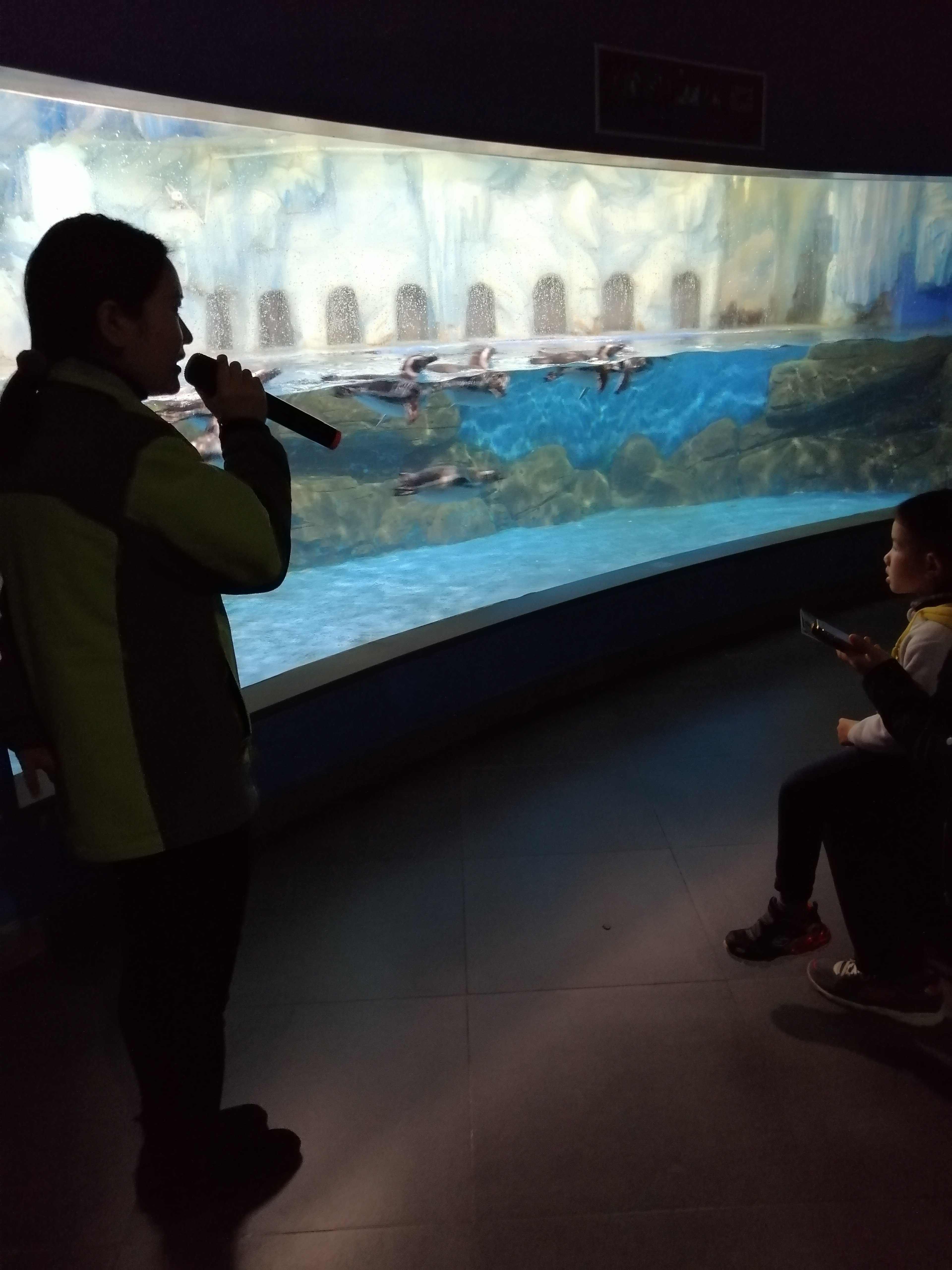 常州金鹰海洋世界19.9元,常州金鹰海洋世界开业