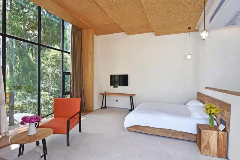 把千岛湖“装”进自家民宿，做了一个无敌湖景泳池，让无数人尖叫