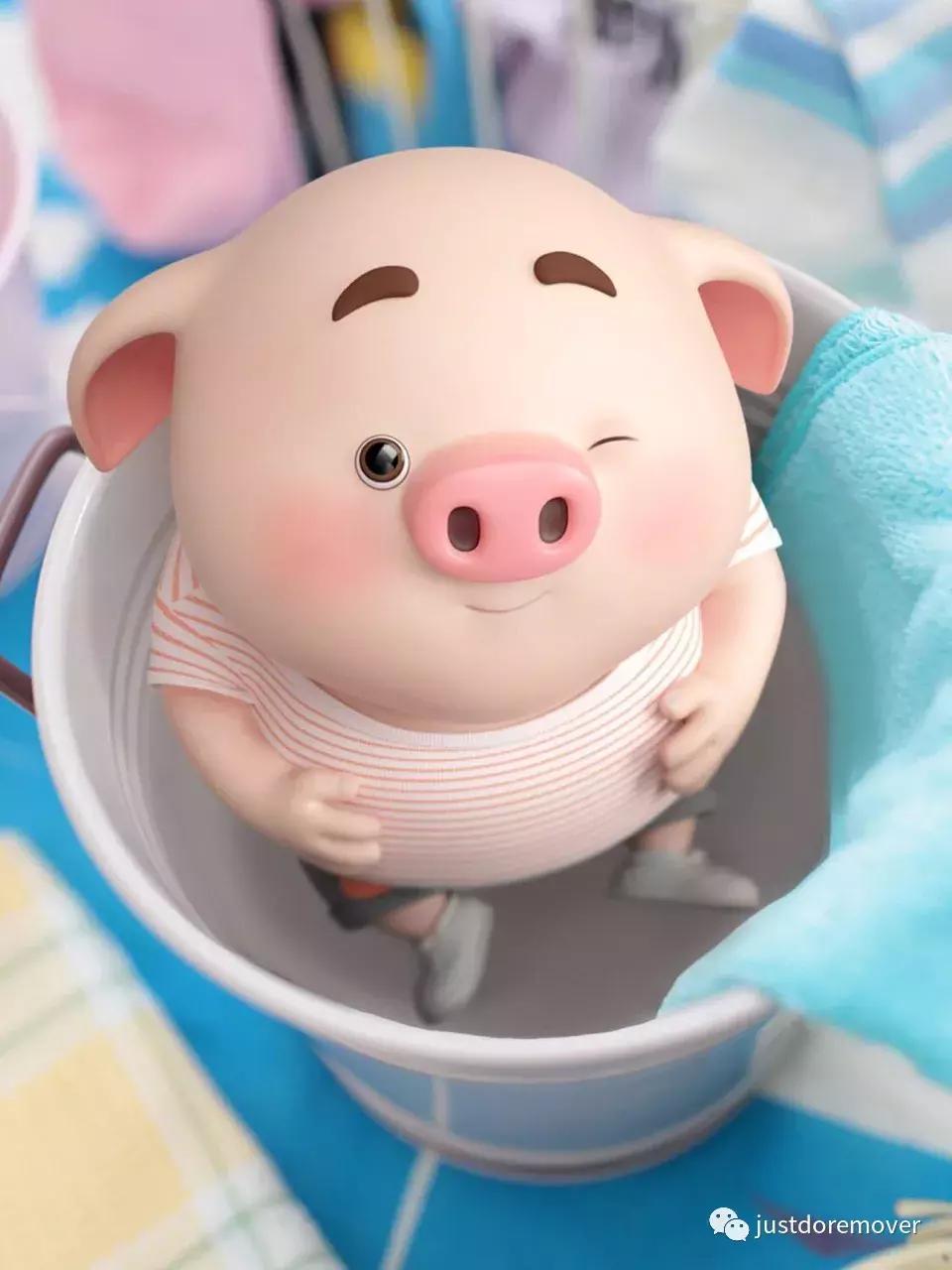 2019年我是最旺最红的猪！gruntgruntgrunt