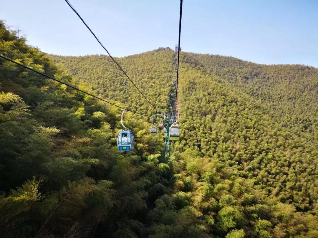 今天，我在宜兴竹海，过传统春节，沾福气满满！