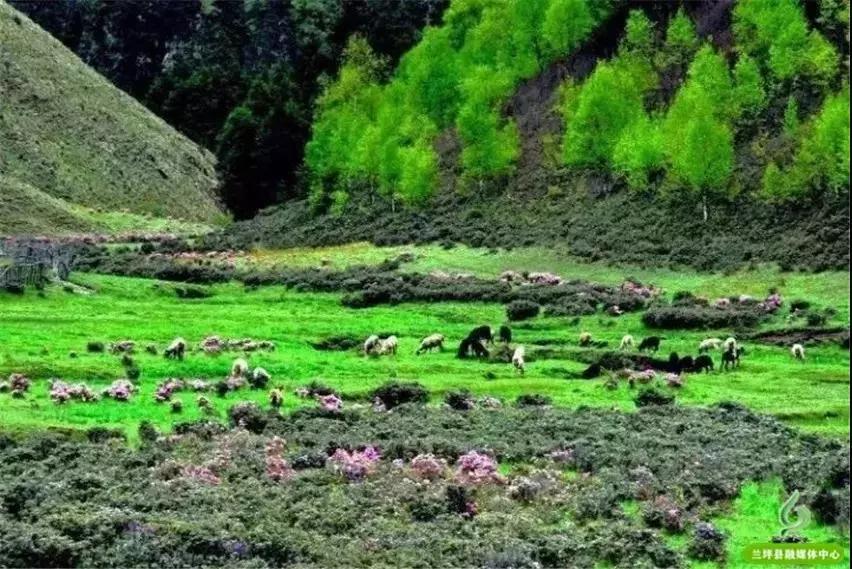 鍏板潽鍗拌薄,鍏板潽涔″湡鍗拌薄