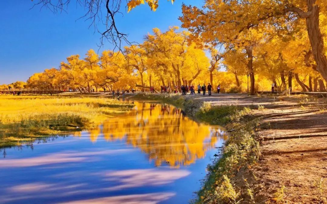 去一次大西北等于远行十次,去宁夏旅游的最佳地方