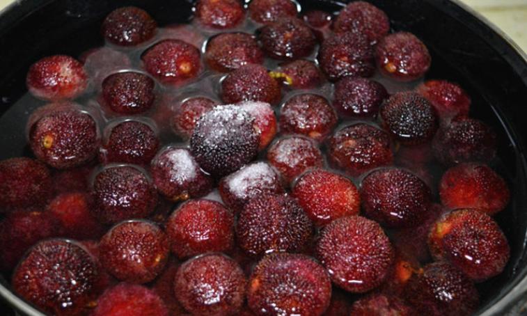 怎样洗杨梅的虫子不要小苏打,洗杨梅怎么洗虫子会跑出来