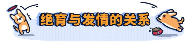 狗狗第一次来姨妈很肿,狗狗第一次来姨妈拉肚子