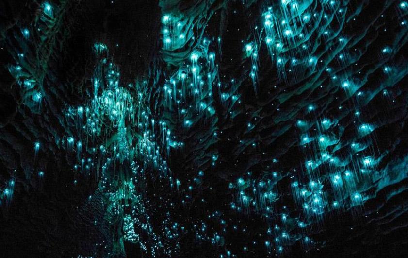 不到4W元的14年中古车，如何陪我闯荡奥克兰（附小众景点干货）