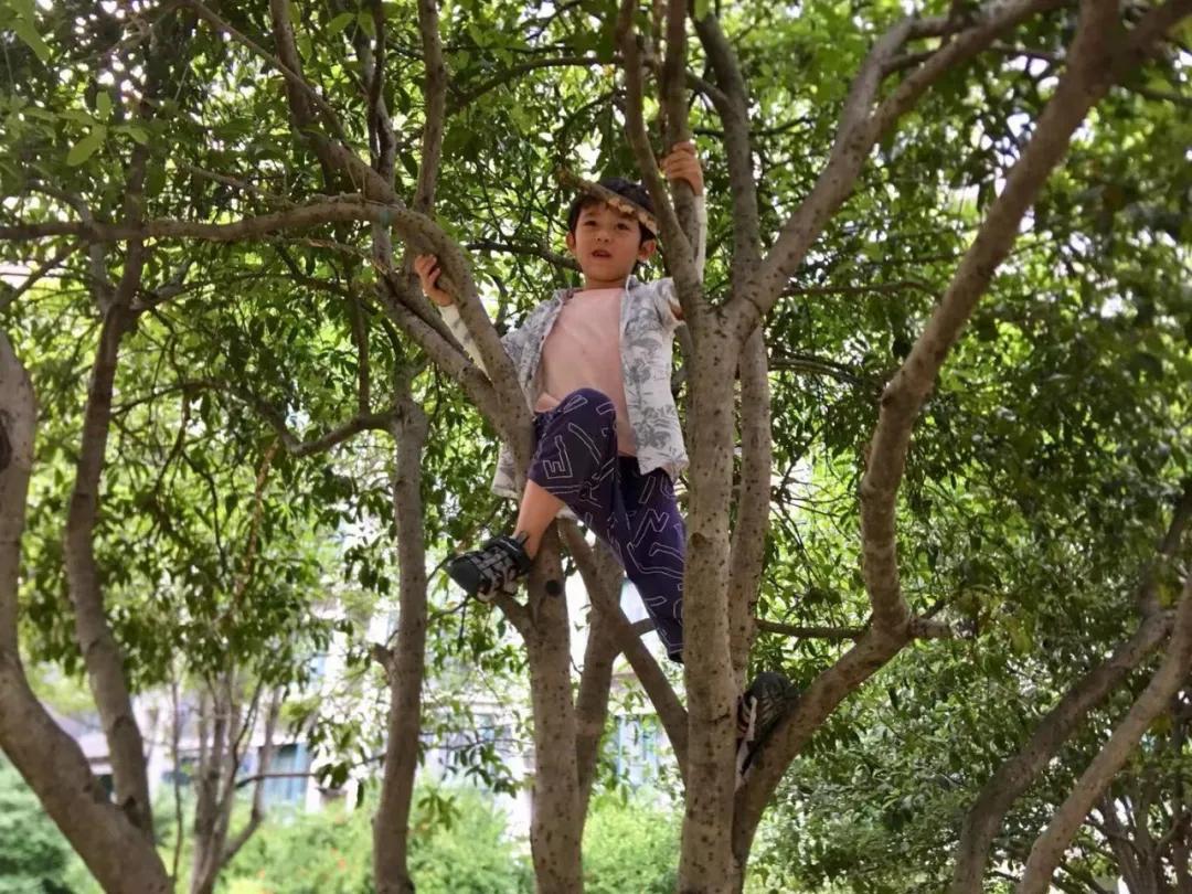 儿砸！为何我磨破嘴皮说安全，你还是上天入地、眼肿、牙碎