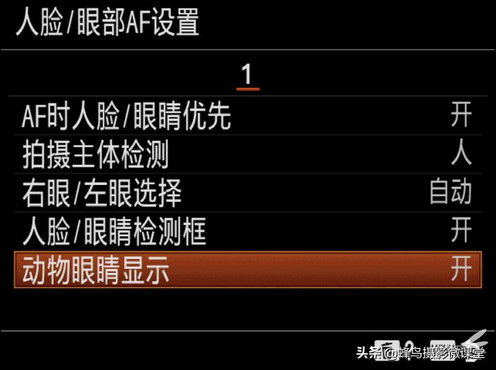 今年会出哪些全画幅微单,最强微单全画幅是r5吗