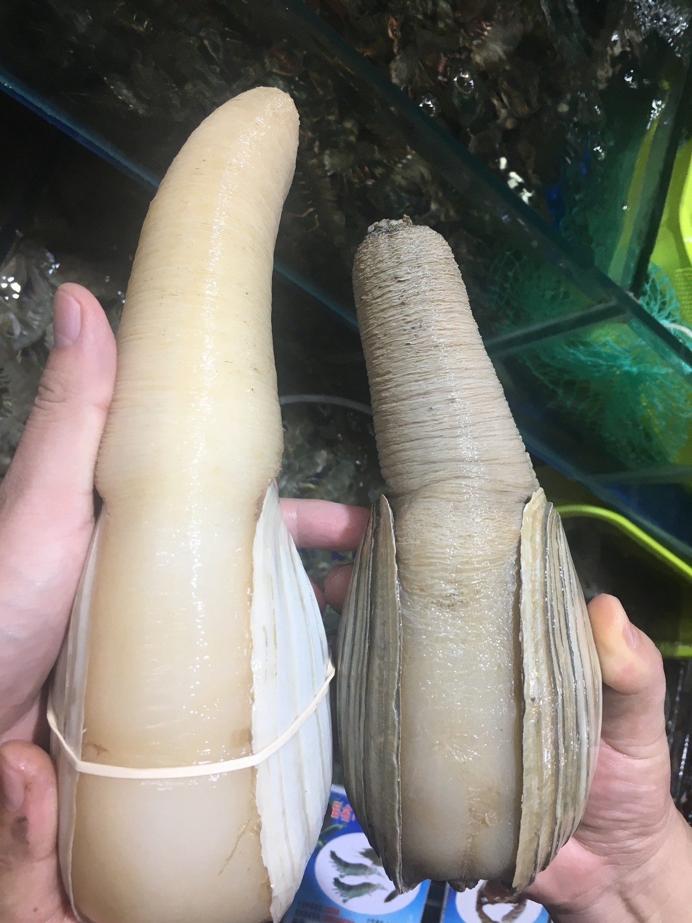 三亚旅游吃海鲜防宰攻略,三亚蜈支洲岛吃海鲜攻略