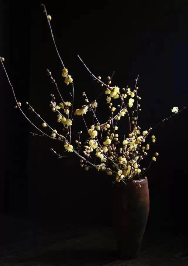 陶器美文,散文书画