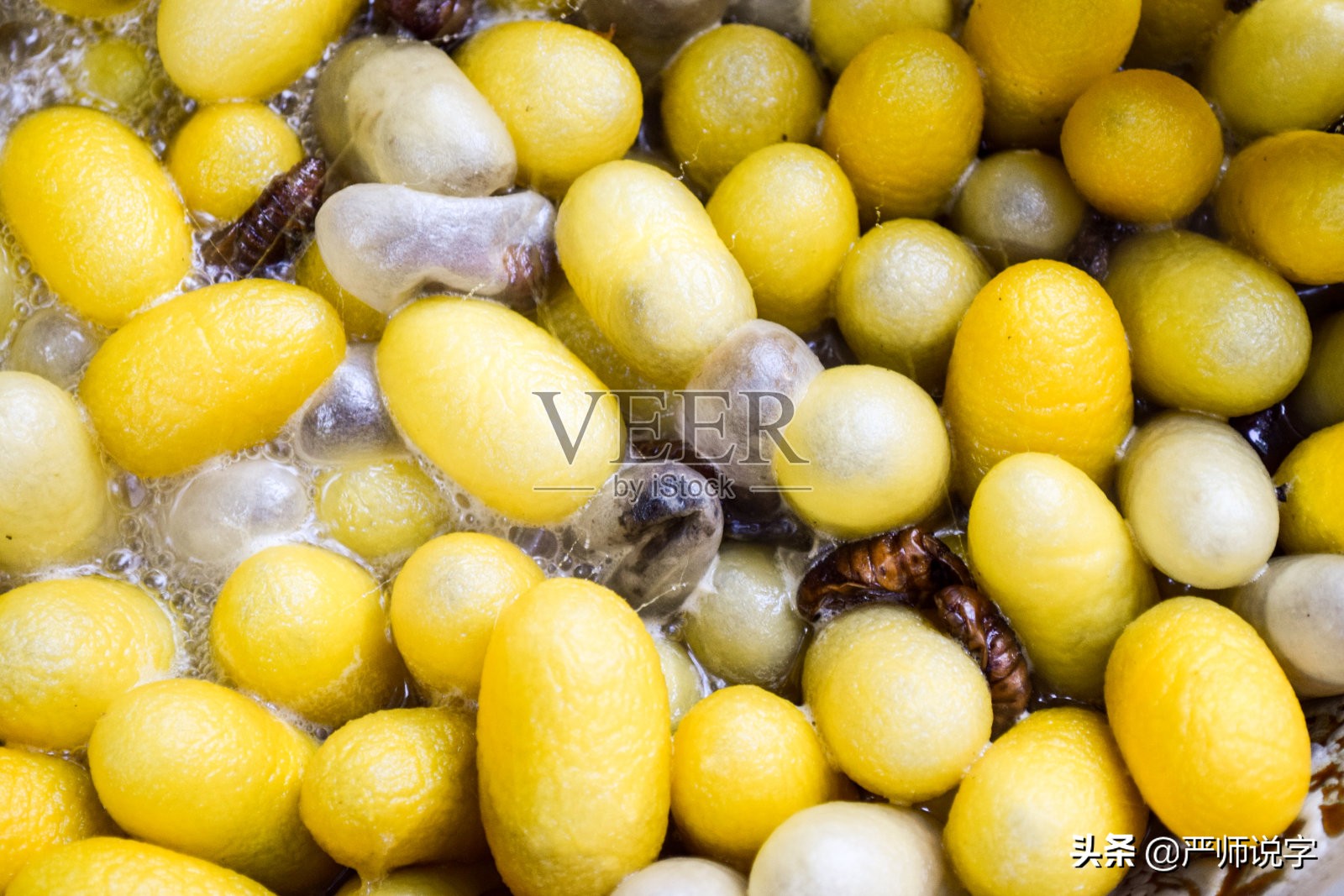 格物致知是什么意思出自哪个典故,格物致知是什么意思中文