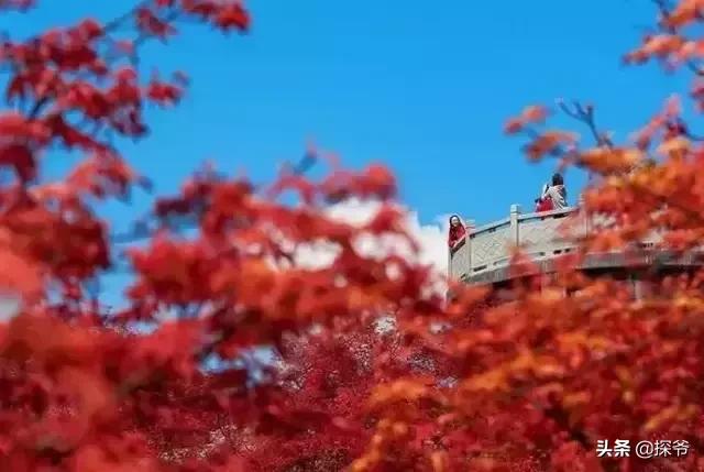 重庆爬山推荐险峻,重庆峭壁悬崖景区
