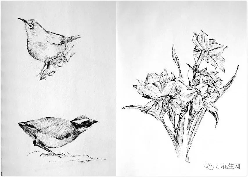 从零开始学绘画必备的画,从零开始学绘画第一步教程