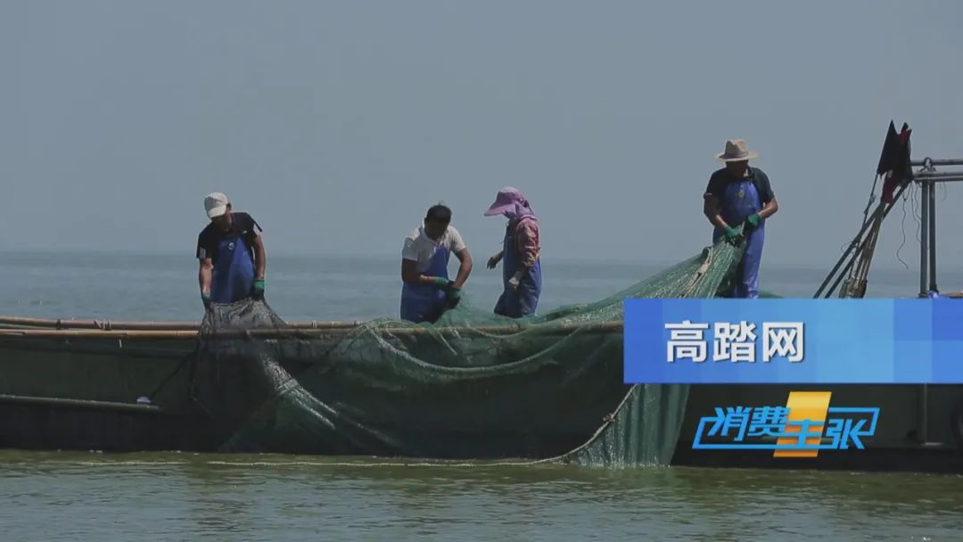 直击太湖开湖现场！鲜美湖鲜大量上市，资深吃货准备好了吗？