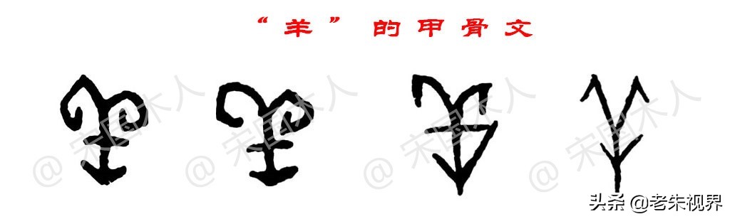 羊汉字演变过程,羊的汉字演变过程