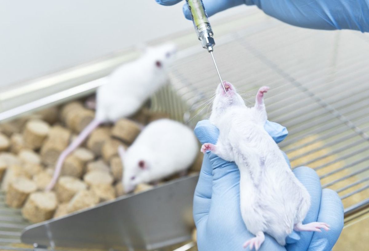 氯喹治疗冠状病毒,羟氯喹治疗新型冠状病毒