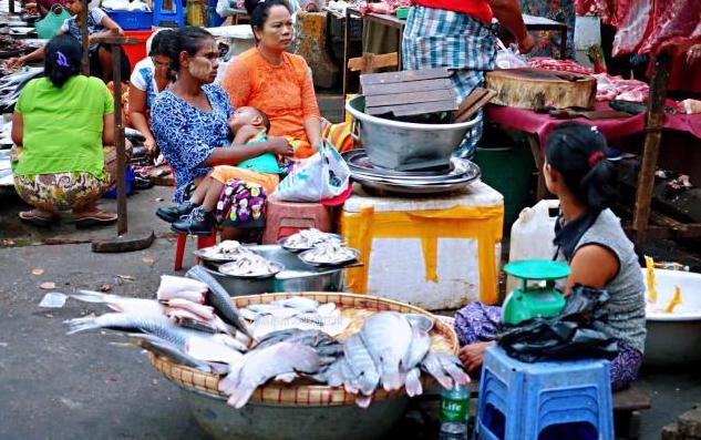 游客来到了缅甸菜市场，都是肉类但没有家禽，这是什么原因